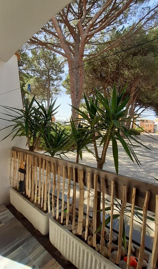 T2-3 Cabine Les Yuccas 200 M Plage Du Boucanet Rive Droite Grau Du Roi Ideal 2-4 Pers Apartment เลอ โกร-ดู-รัว ภายนอก รูปภาพ