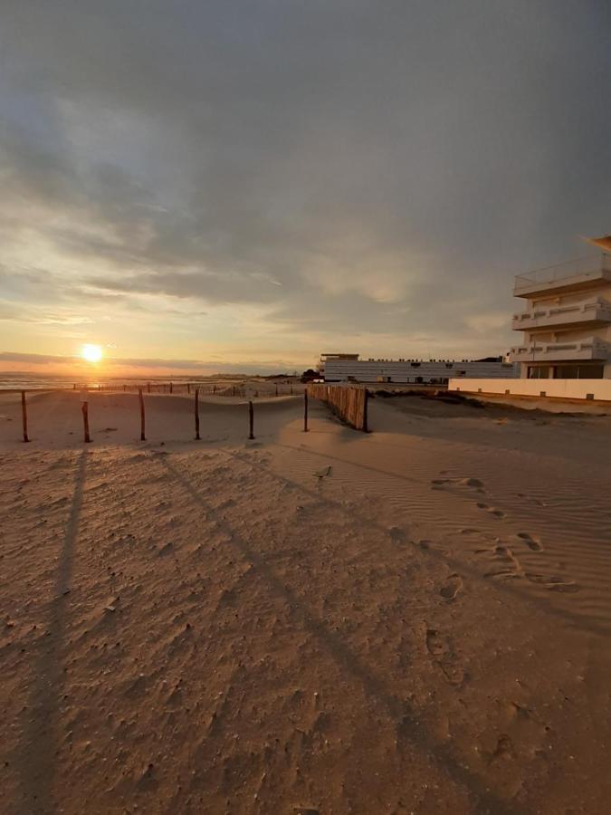 T2-3 Cabine Les Yuccas 200 M Plage Du Boucanet Rive Droite Grau Du Roi Ideal 2-4 Pers เลอ โกร-ดู-รัว ภายนอก รูปภาพ